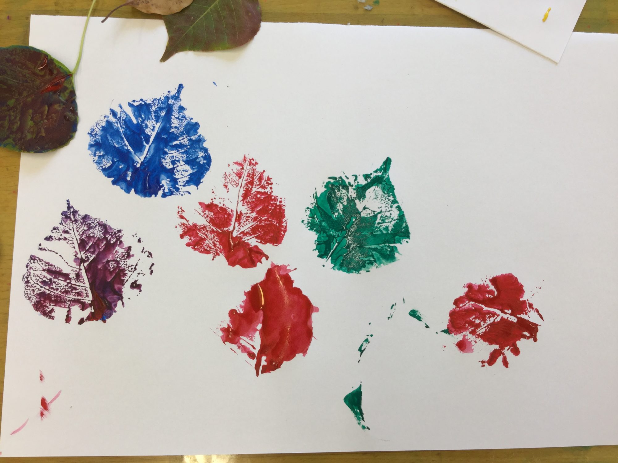 11月9日 土 地域開放 絵の具あそび 日の出医療福祉グループ