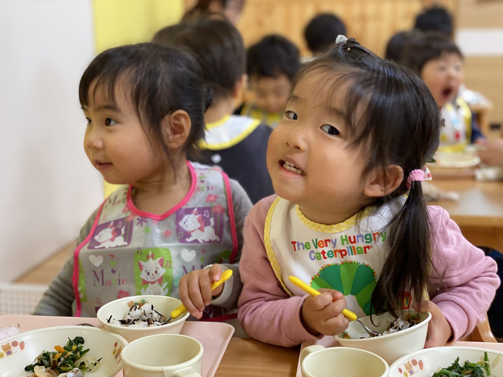 食育 ふりかけ作り 日の出医療福祉グループ