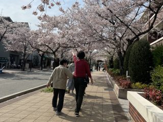 桜を見に行きました🌸