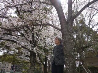 あっという間の桜、暑い春。