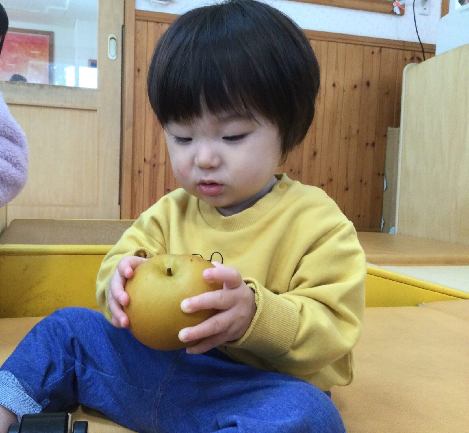 〜 梨を触ったよ 〜