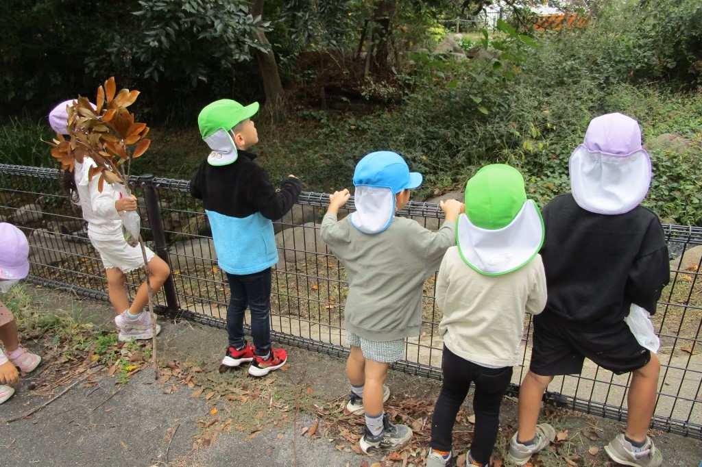どんぐり拾いにいってきたよ（３歳児　わかば組）