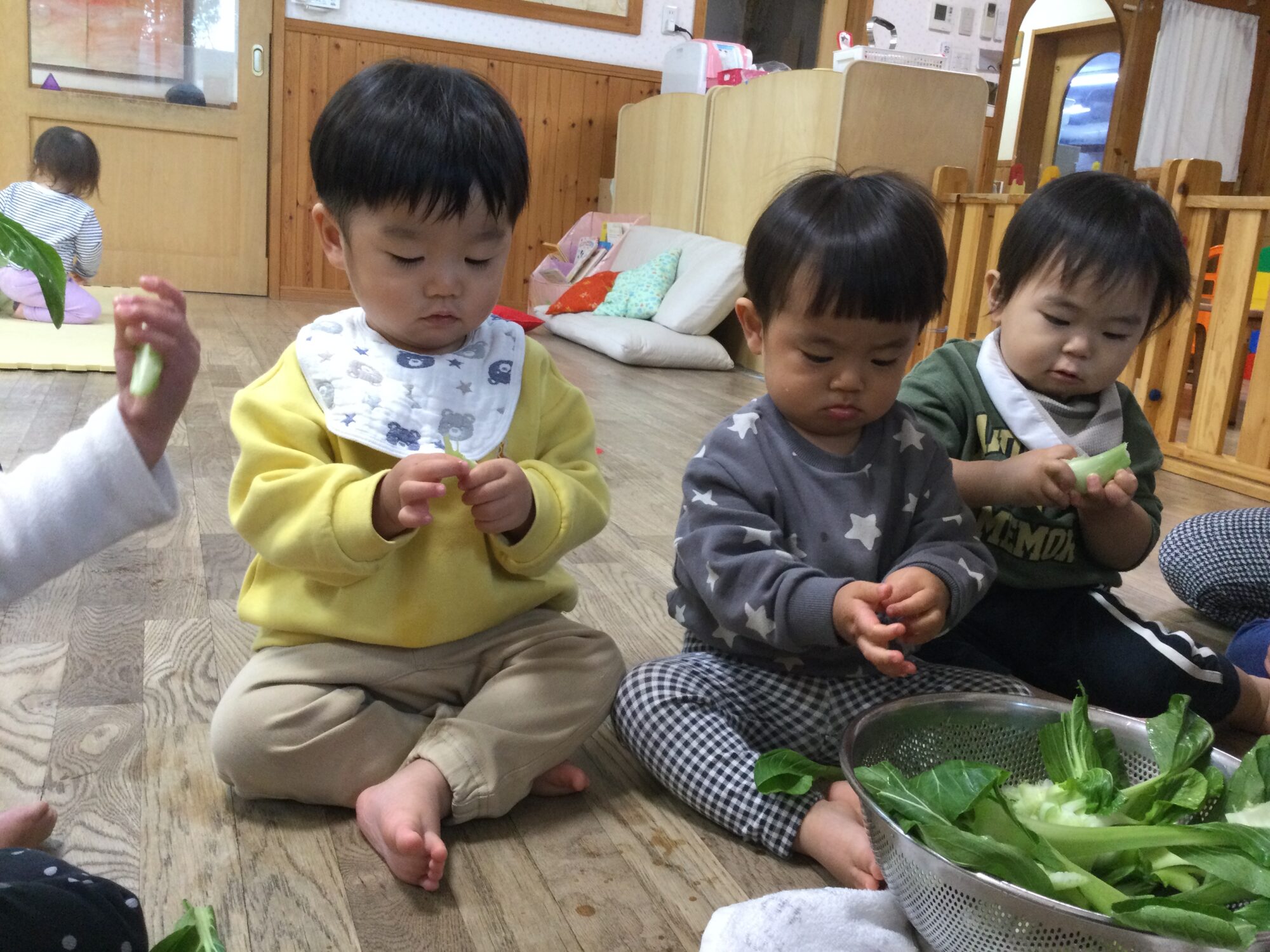 〜 チンゲンサイを触ったよ 〜