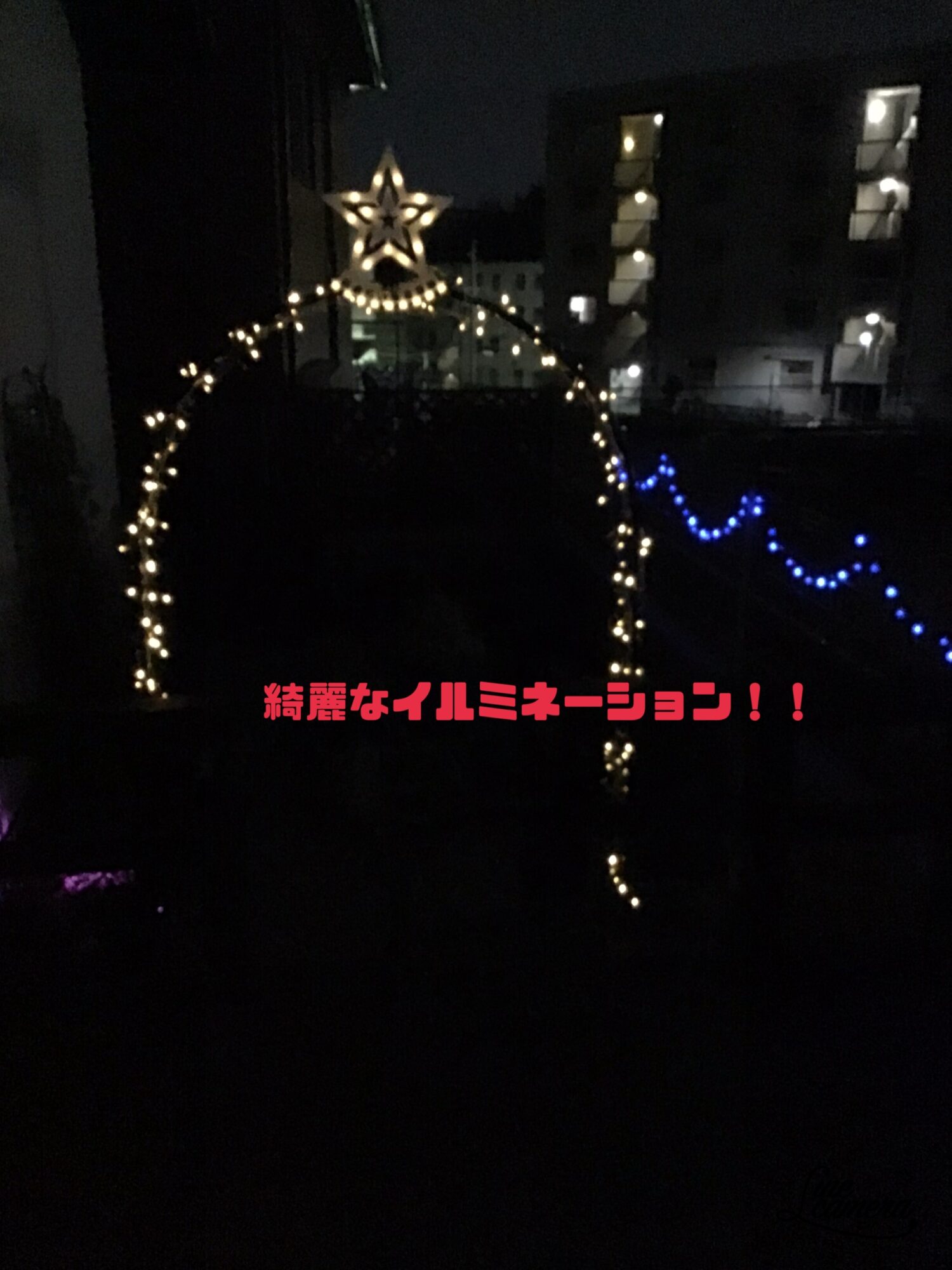 イルミネーション✨