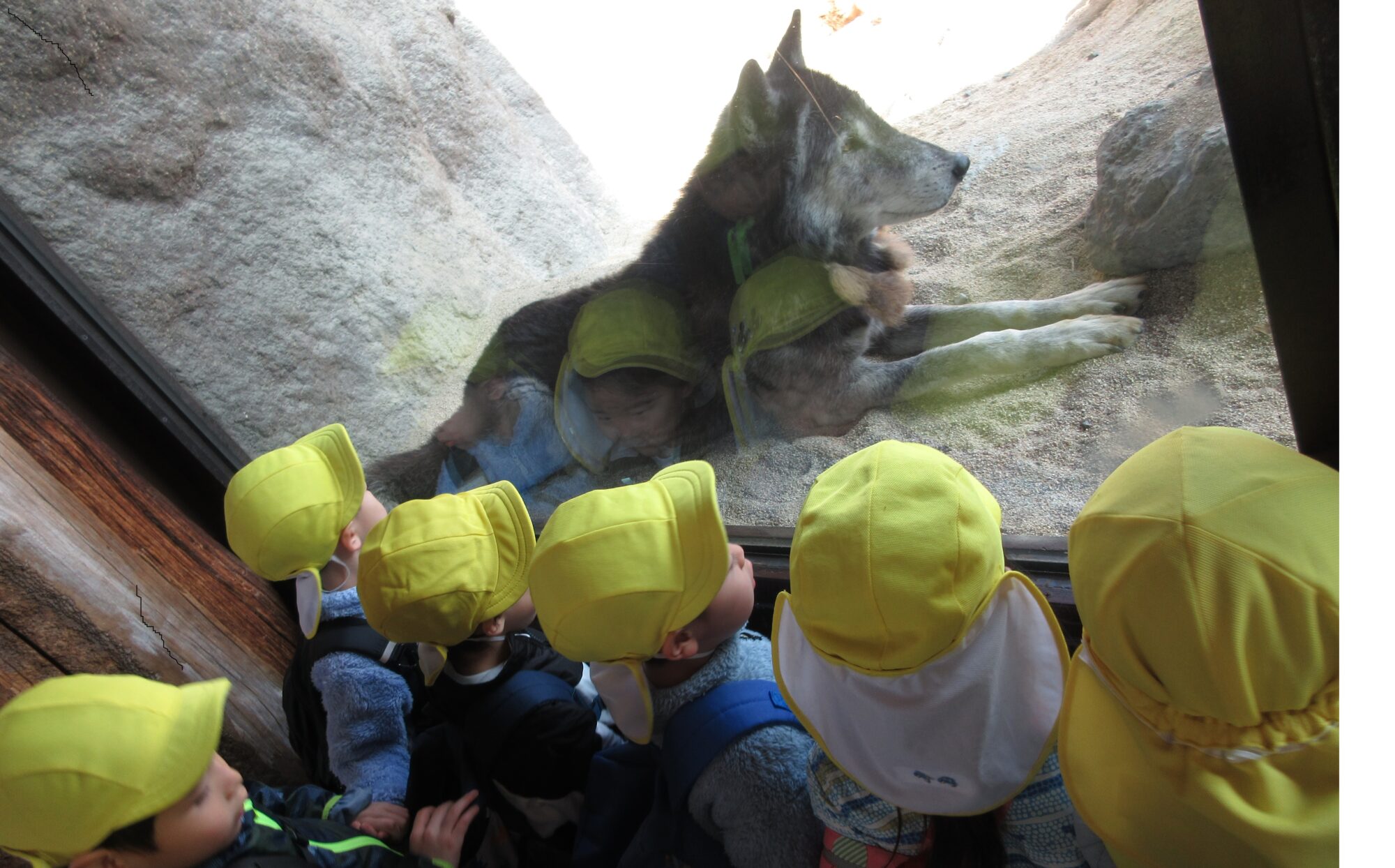 1/20どうぶつ王国へ行きました！