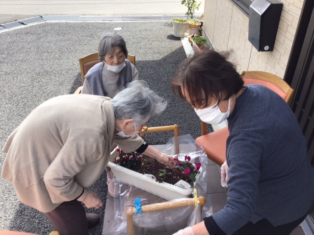 🌸春が来た🌱