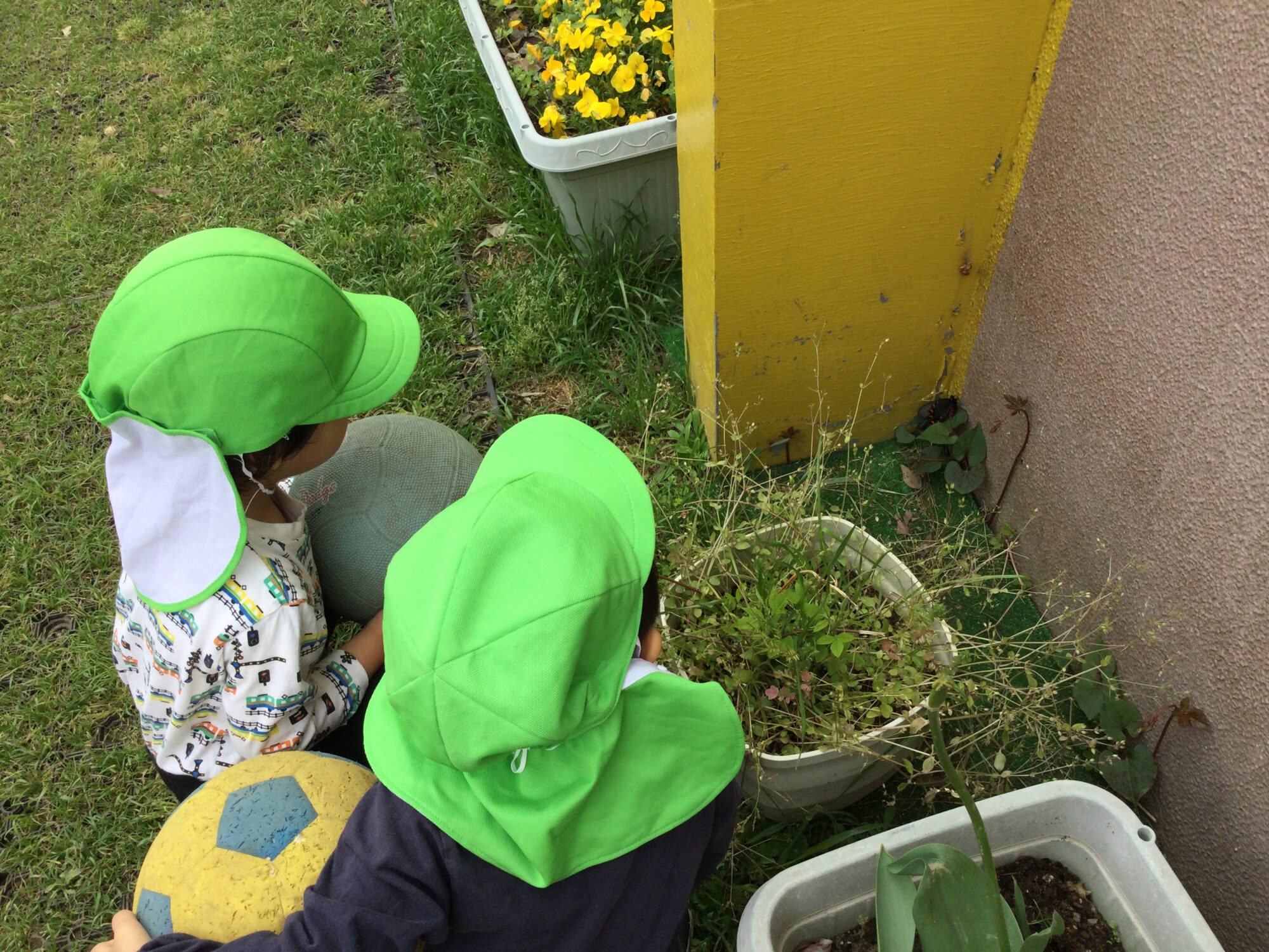 〜 ちょうちょうをみつけたよ 〜
