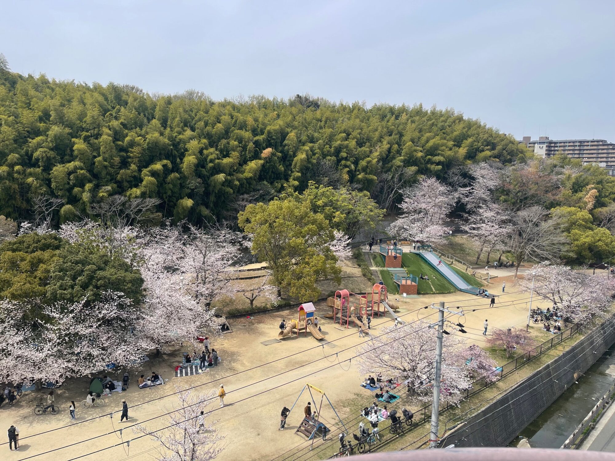 桜の花が咲き温かくなりました