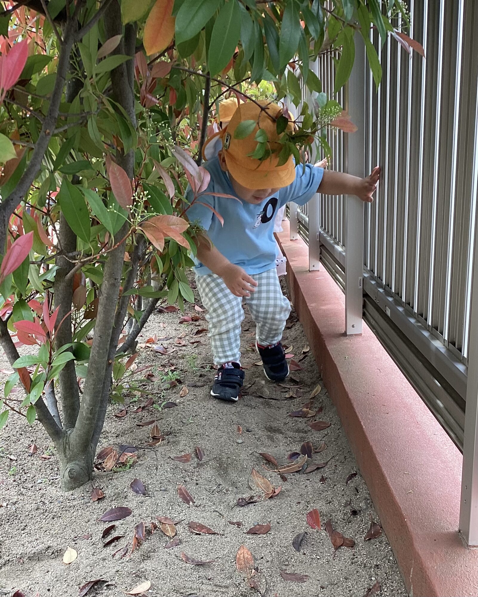 楽しいことたくさん！