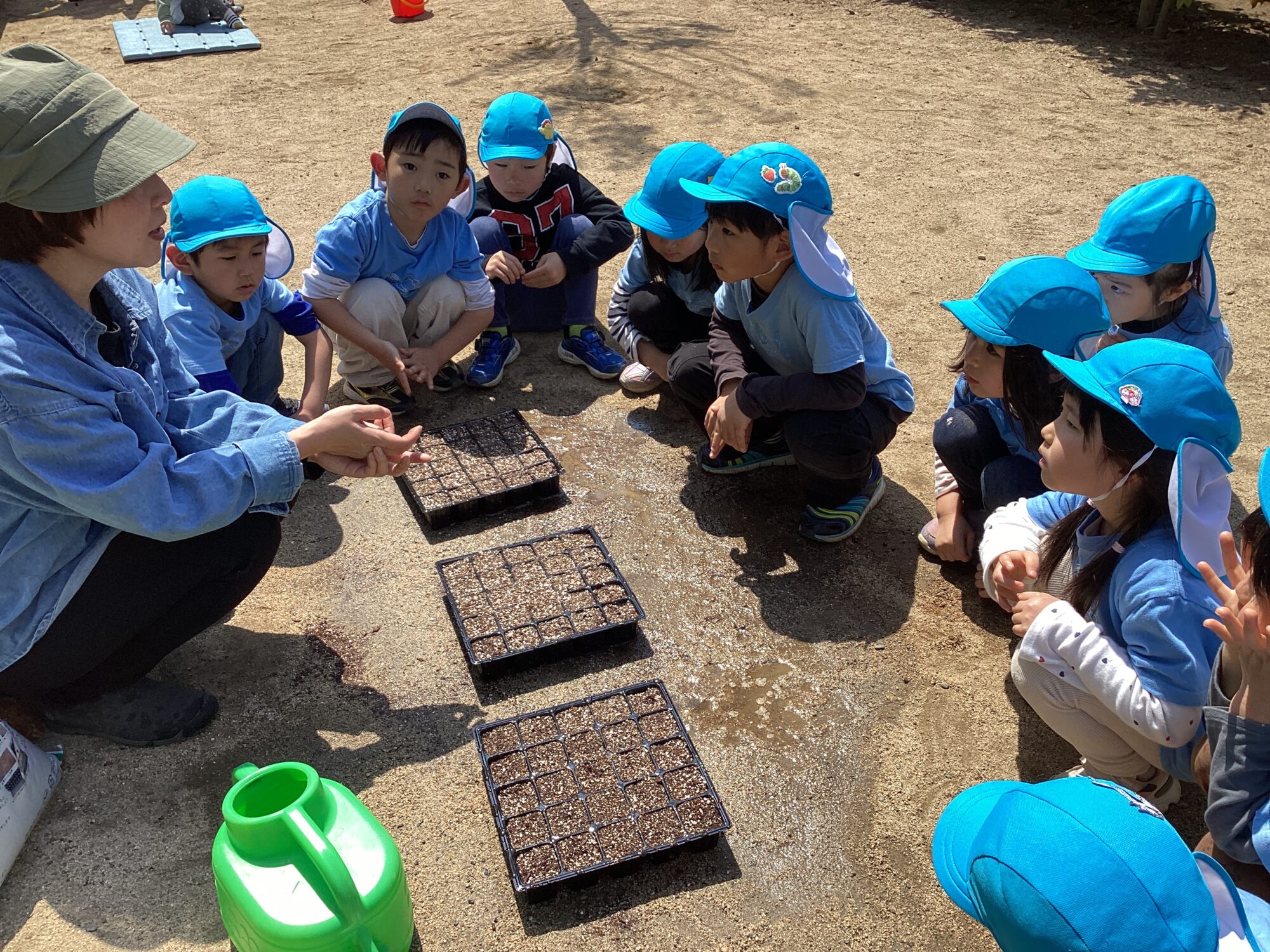 5歳児園芸療法　タデアイの種まきと春の花で色水を作りました。