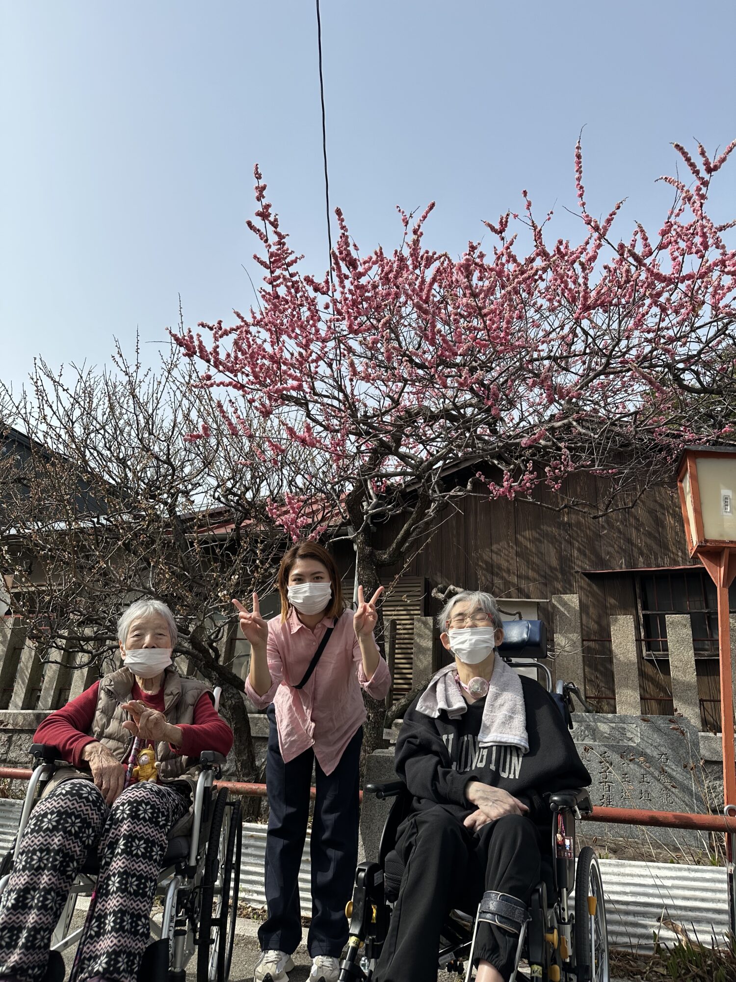 3月末に行った梅散歩☀️