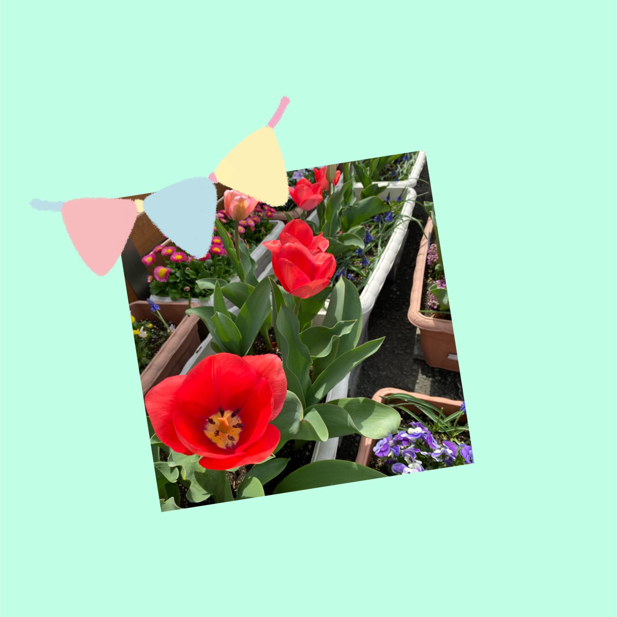 🌷新年度のはじまり🌷