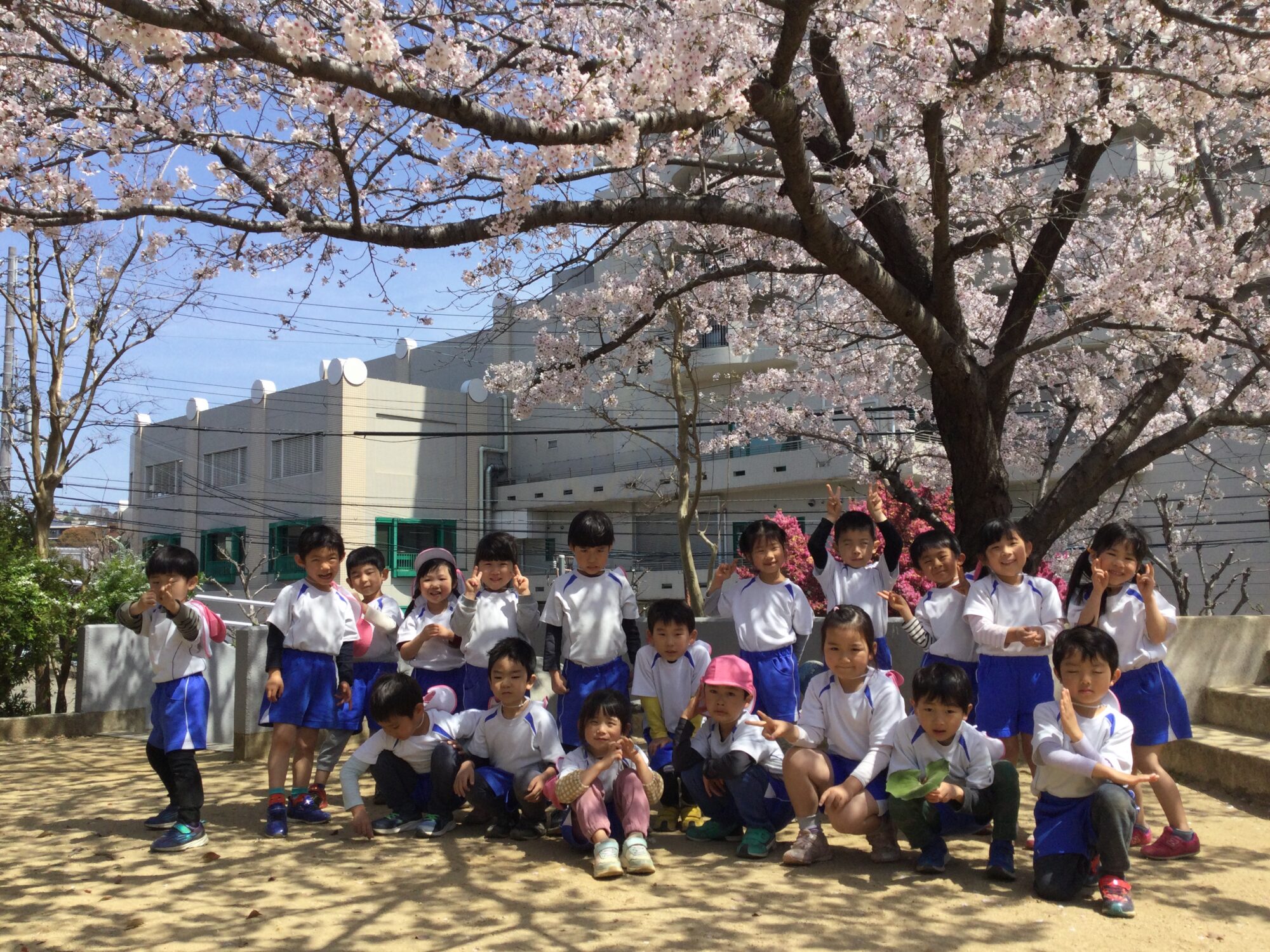 〜 お花見してきたよ 〜