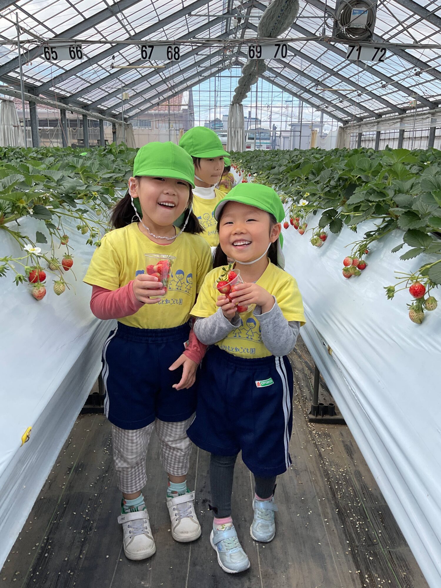 4月15日　ふじ組がいちご狩り遠足に行きました！