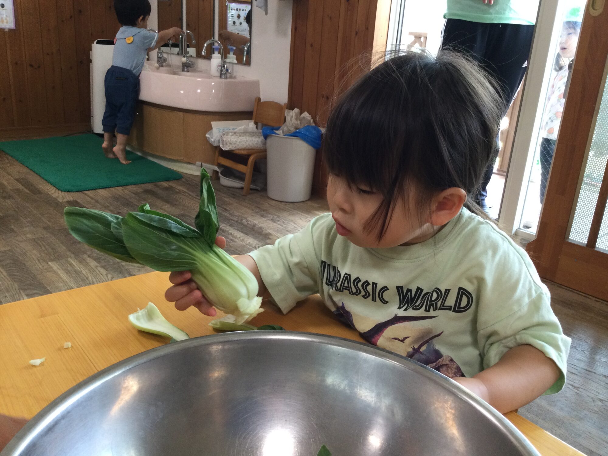 ～ チンゲンサイをちぎったよ ～