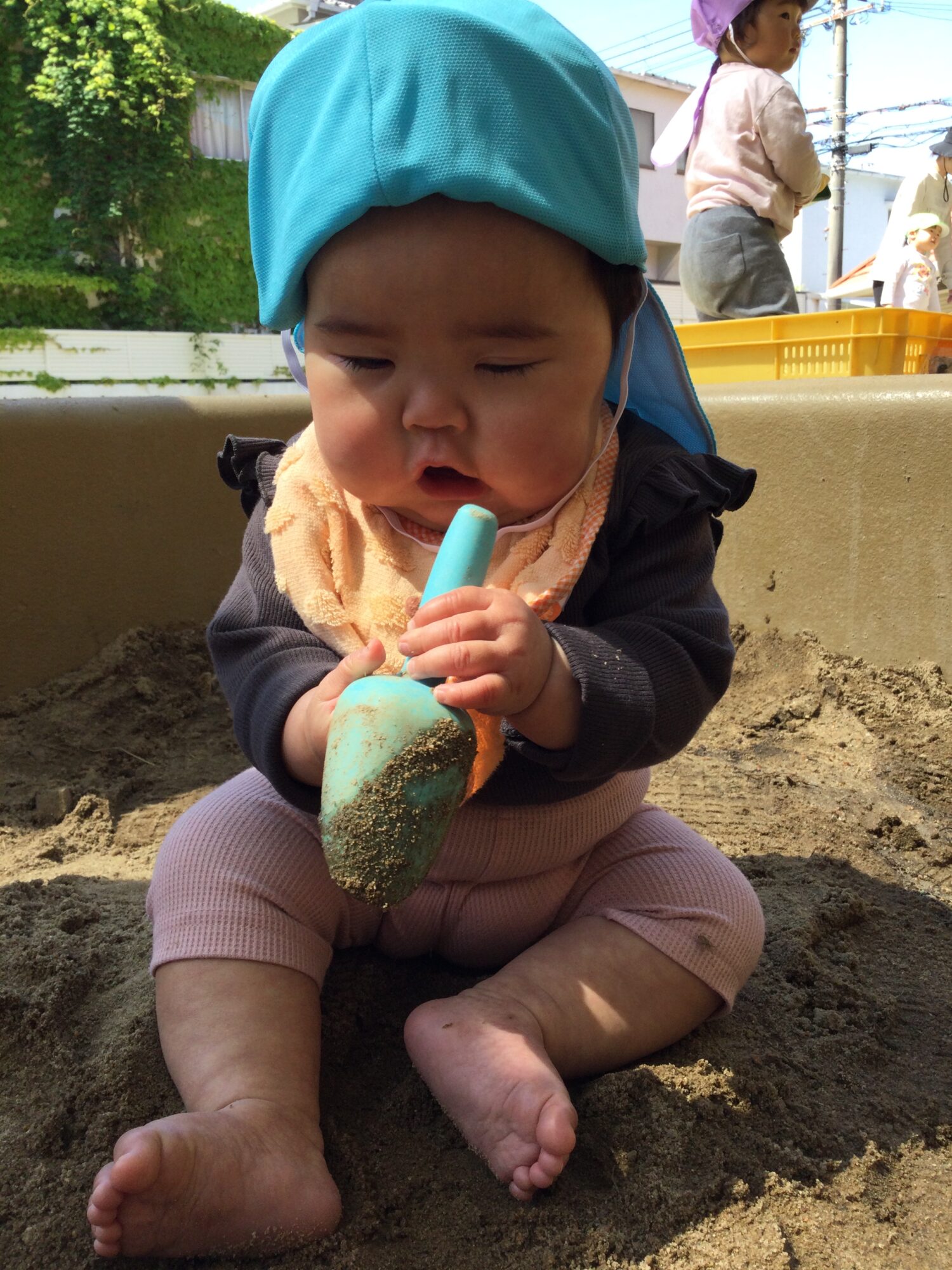 〜 これなんだろう？さわってみたよ 〜