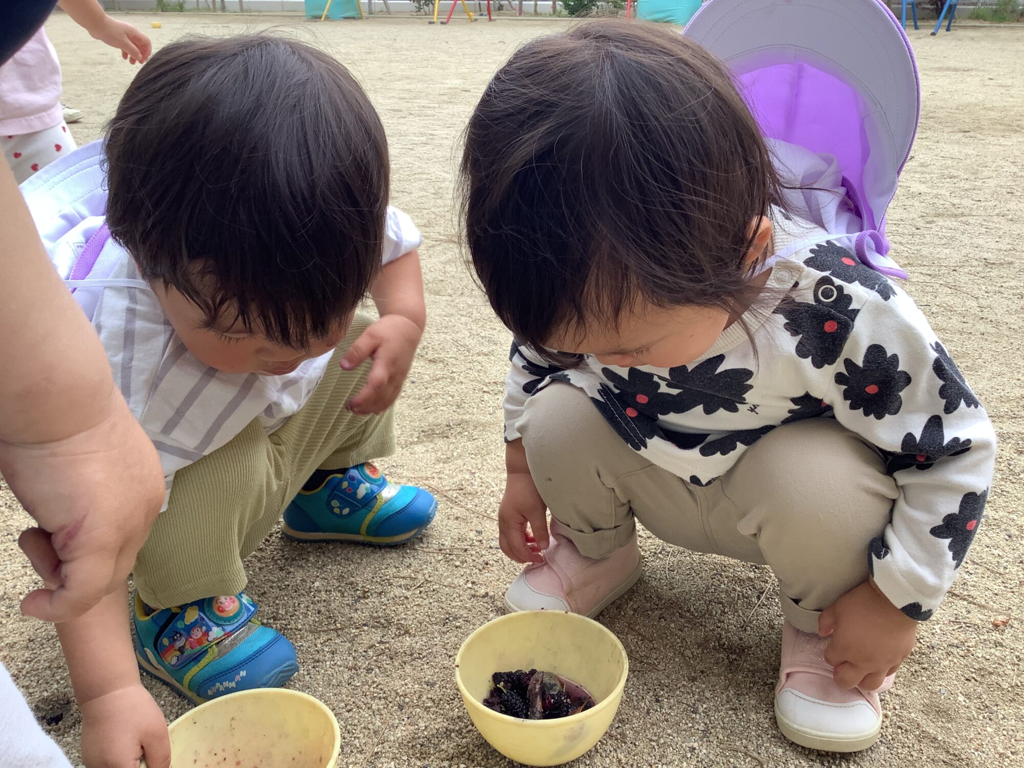 ゆり組 いいものを見つけたよ！