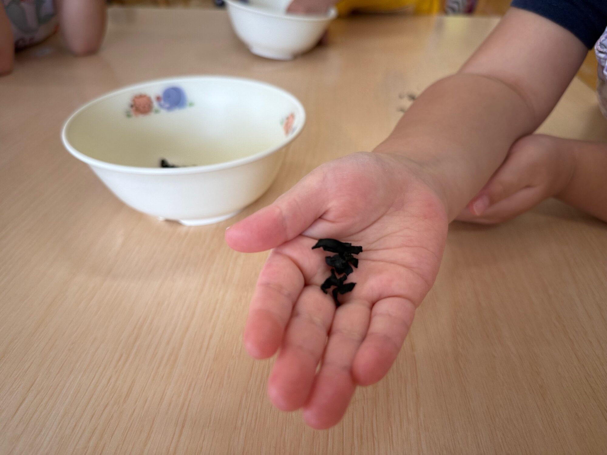 【食育3歳児】乾物もどしをしたよ♪