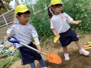 すみれ組 畑を耕したよ!