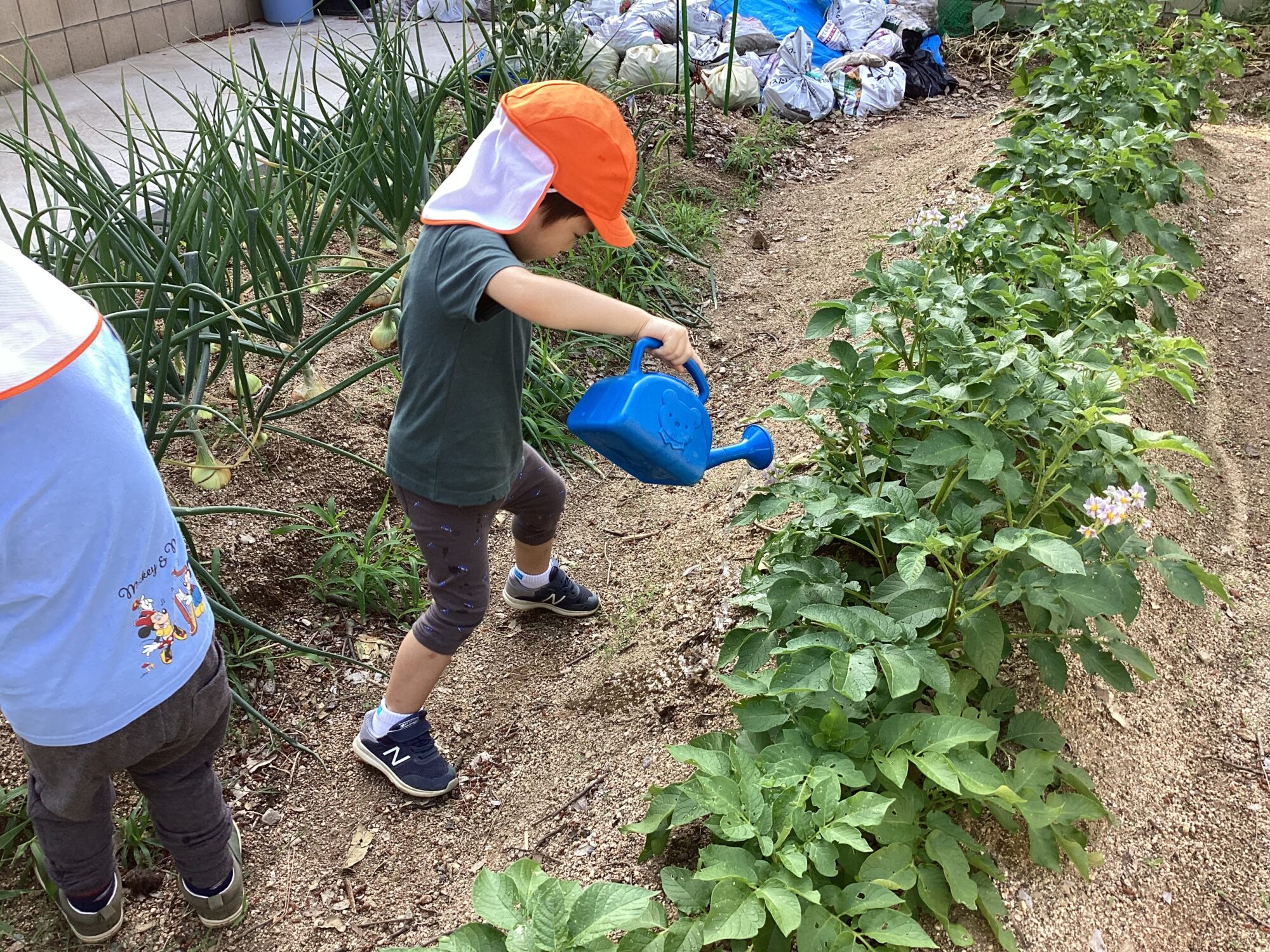 大きくなあれ！