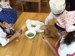 〜 豆ご飯をつくったよ 〜