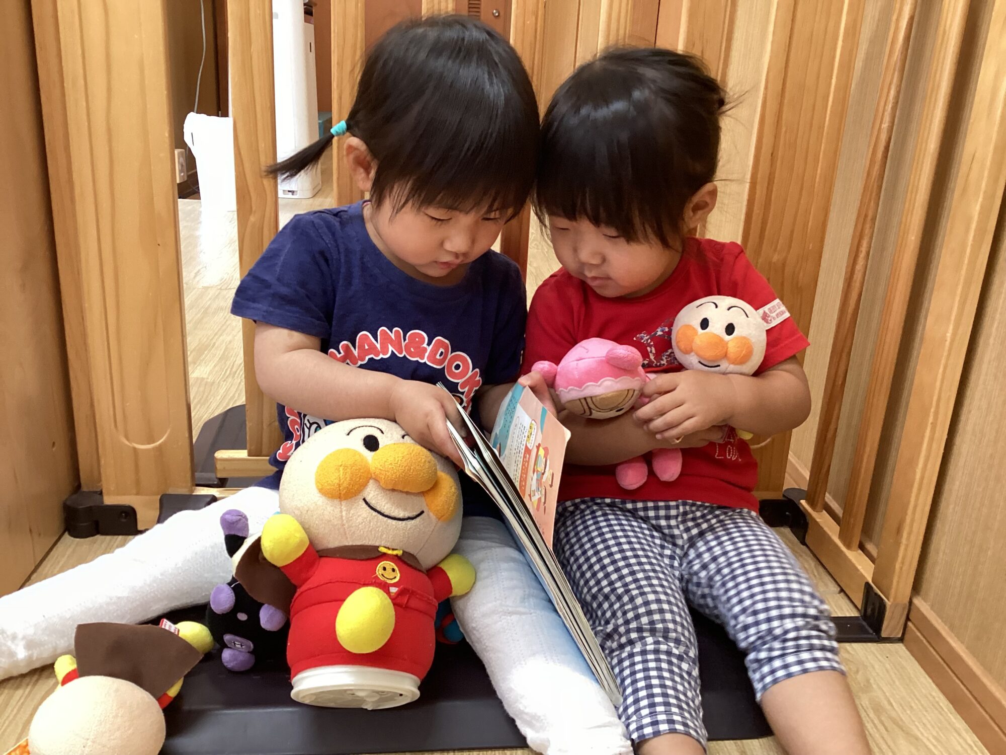 きもちのいいきせつ🎏