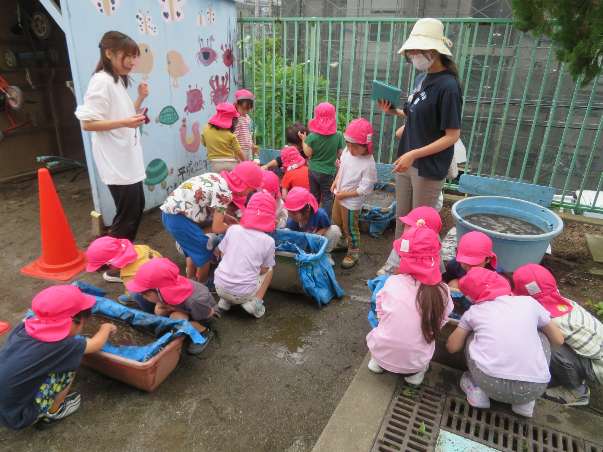 🍅野菜を育てよう🌽