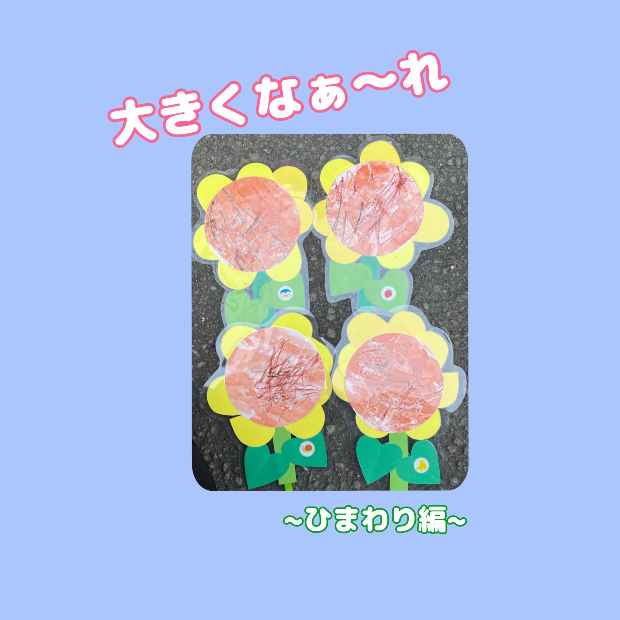 大きくなぁれ🌻～ひまわり編～