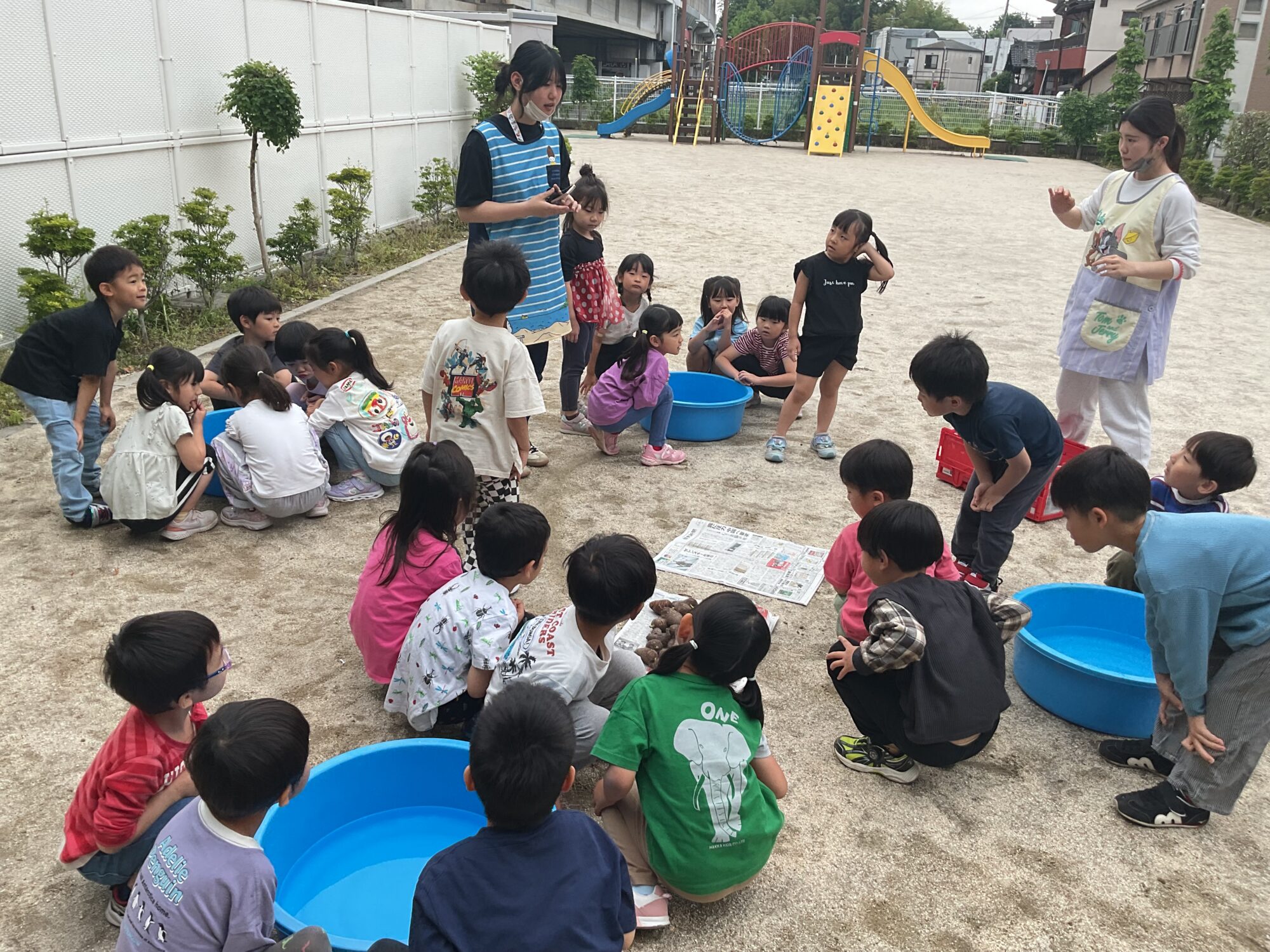 めろん組食育〜里芋洗い〜