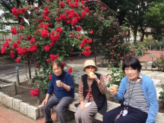 🌹バラを観に行ってきました🌹