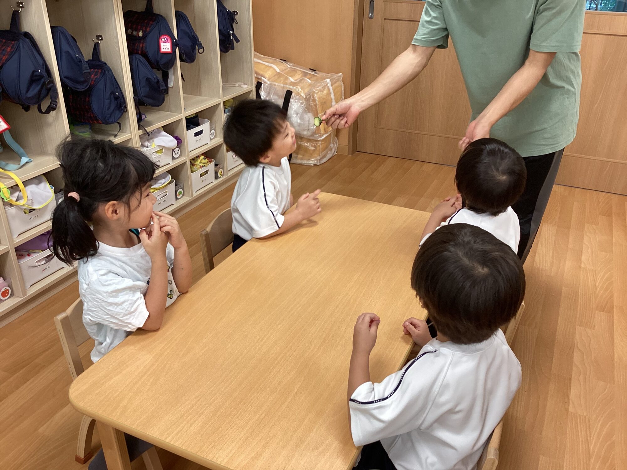 すみれ組 小さなすいかを収穫したよ！