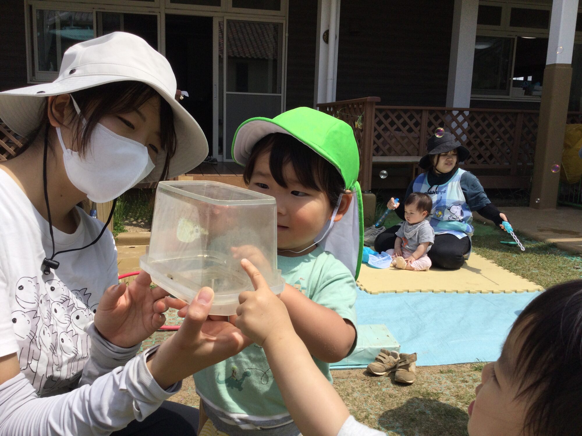 〜 蝶々を見つけたよ 〜