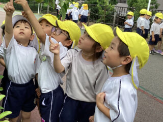 りんごの樹の生長を見に行ったよ♪