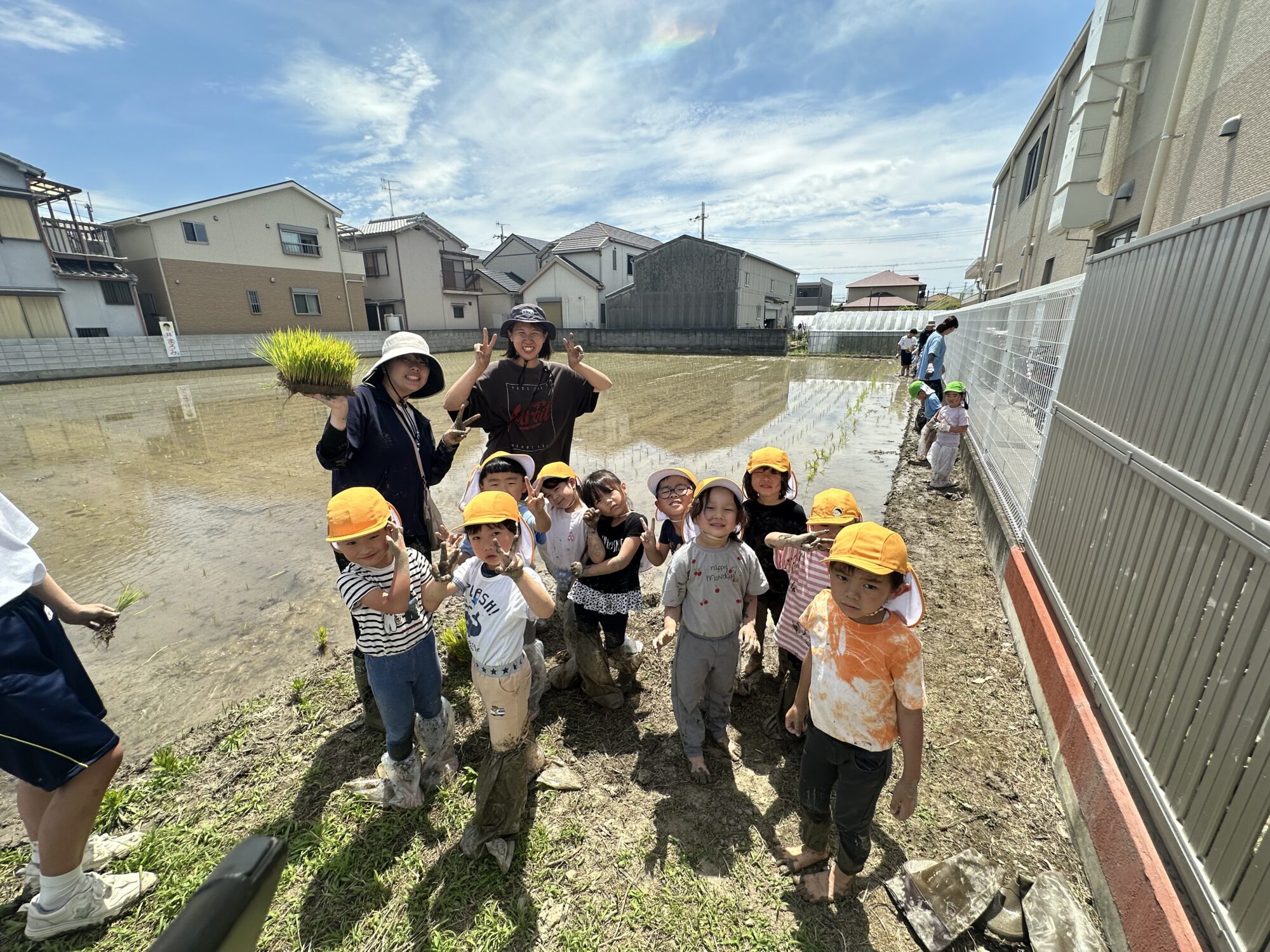 田植えをしました！