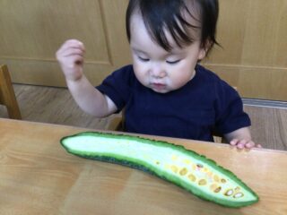 〜 ゴーヤのわたとりをしたよ 〜