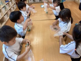 育てたきゅうりを使ってクッキングをしたよ！