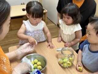 梅シロップ作りをしました☆