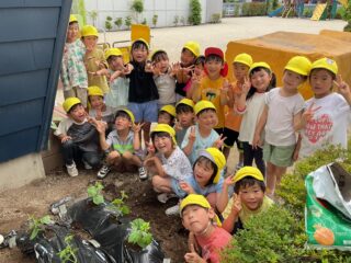 めろん組ゴーヤを植えたよ❗️