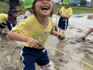 6月11日　ふじ組が田植え遠足に行きました！