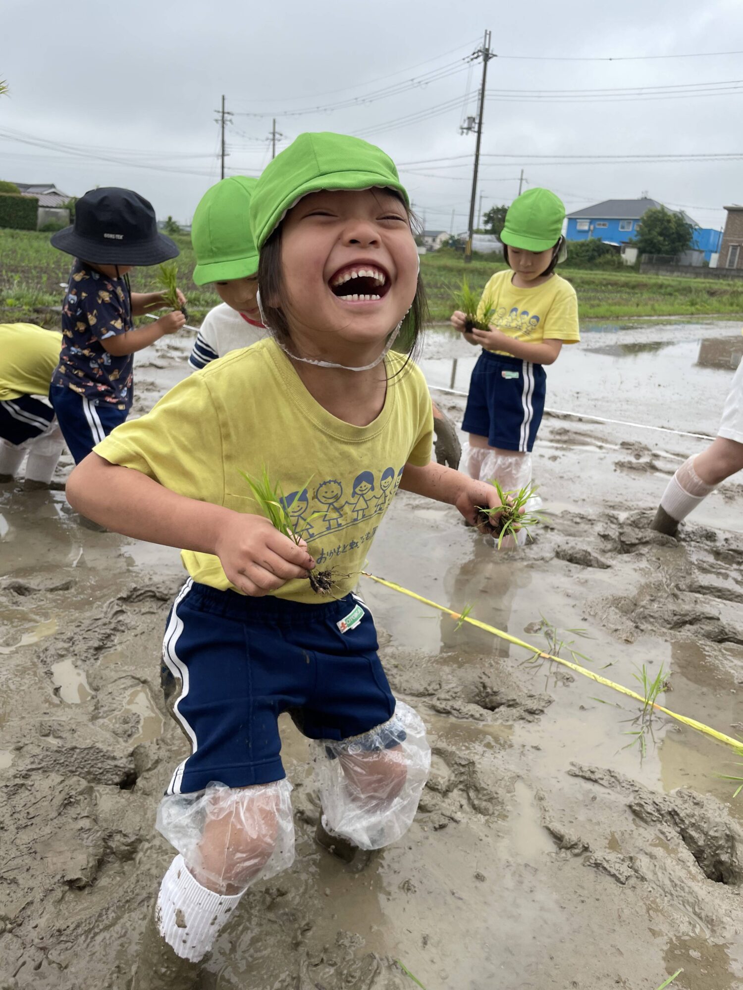 6月11日　ふじ組が田植え遠足に行きました！