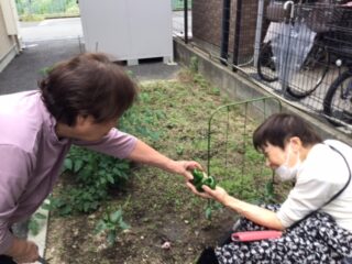 梅雨も間近☔
