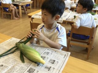 〜 とうもろこしをさわったよ 〜
