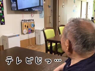 穏やかな1日🌼