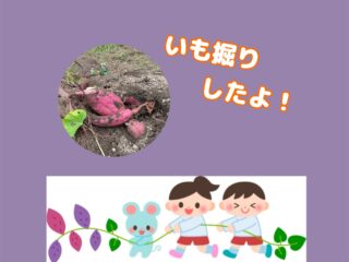 🍠いも堀りをしたよ🍠