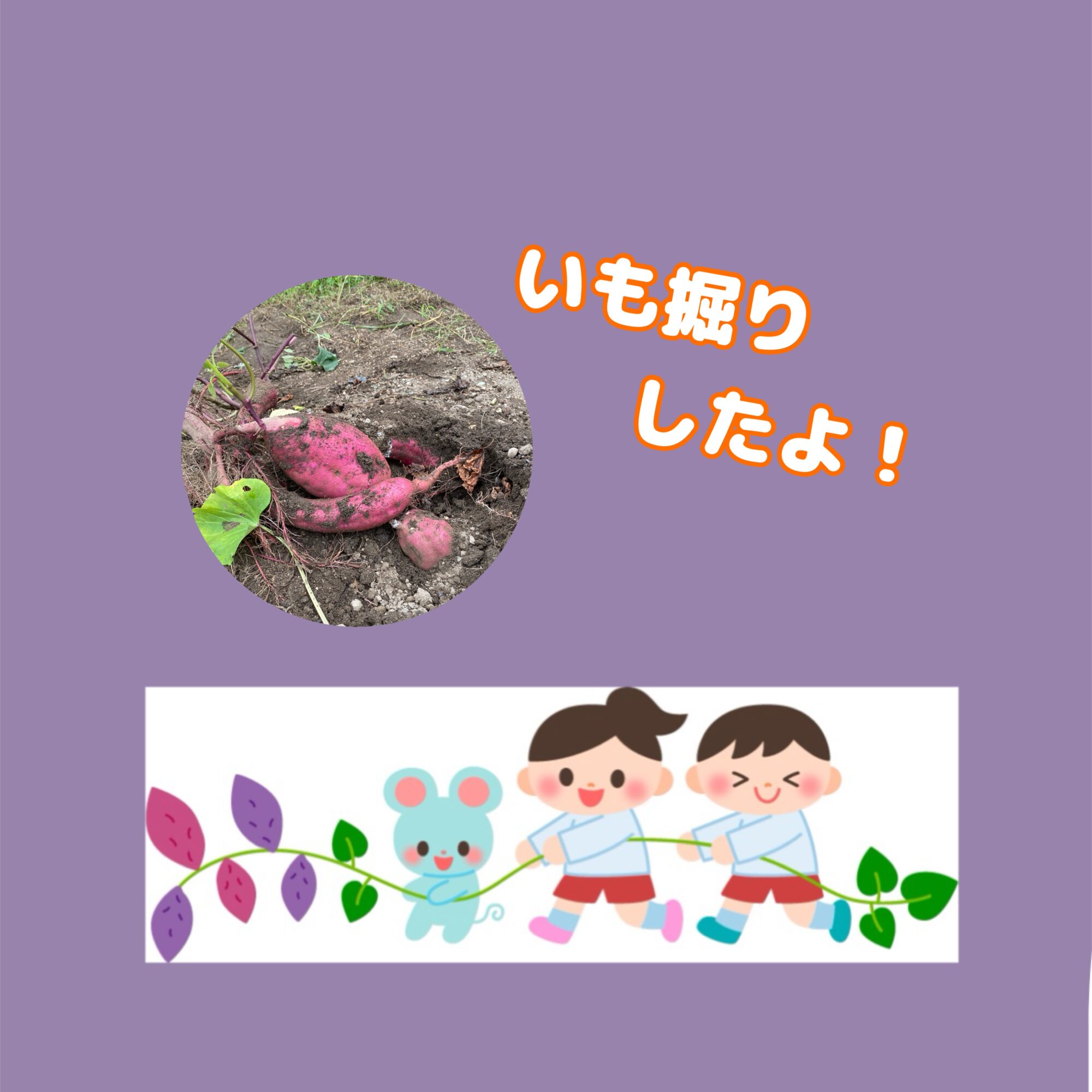 🍠いも堀りをしたよ🍠