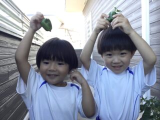 〜 ピーマンはどんなかたち？ 〜