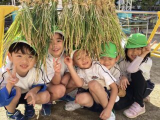 稲刈りをしました