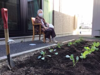 🥬野菜達を植えました🥦