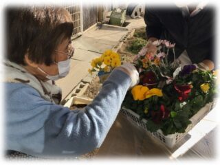 🌸フラワーバスケット🌸　寄せ植えレク😊