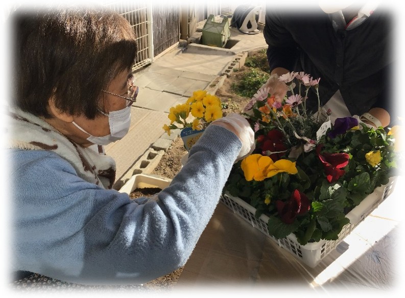 🌸フラワーバスケット🌸　寄せ植えレク😊
